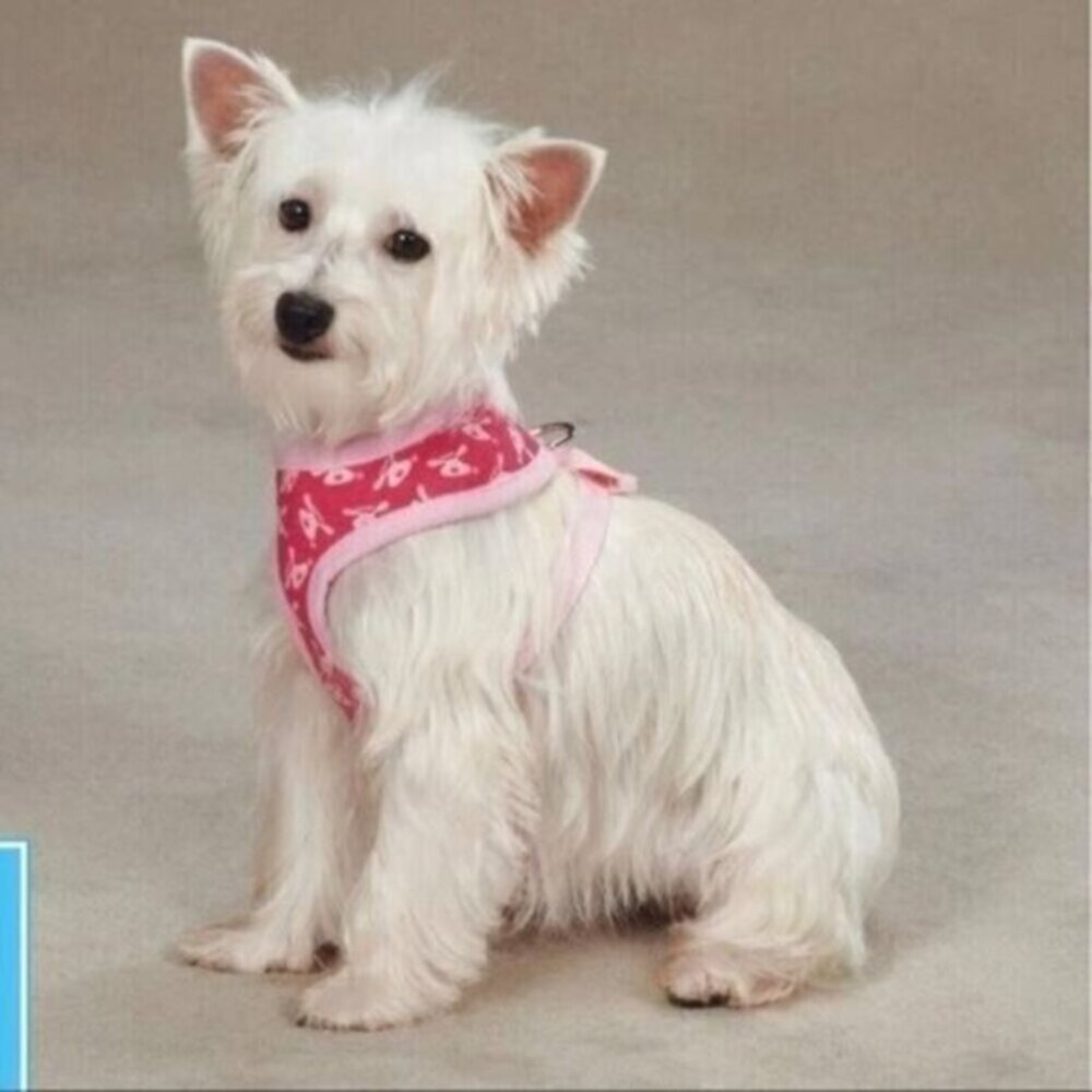 Dog Is Good Bolo Harness Size Large New